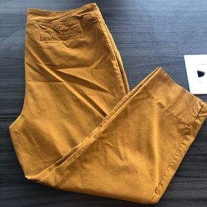 Mustard Yellow Pants